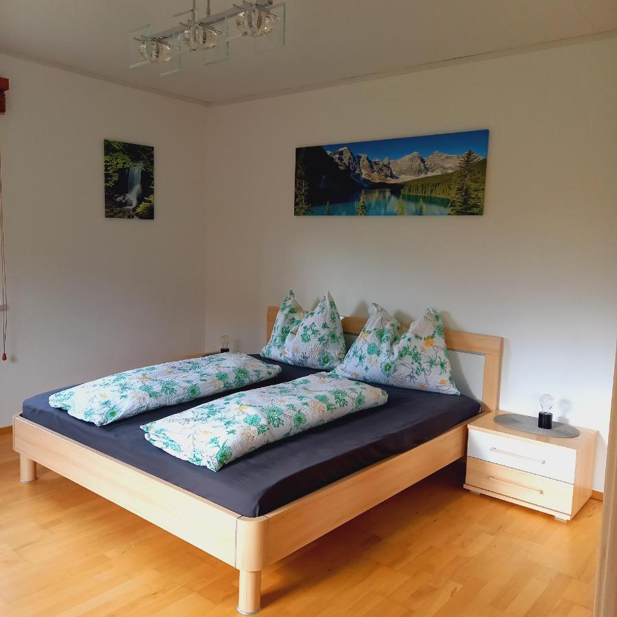 Appartement Winteraugut ヴェルフェン エクステリア 写真