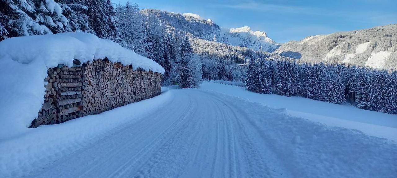 Appartement Winteraugut ヴェルフェン エクステリア 写真